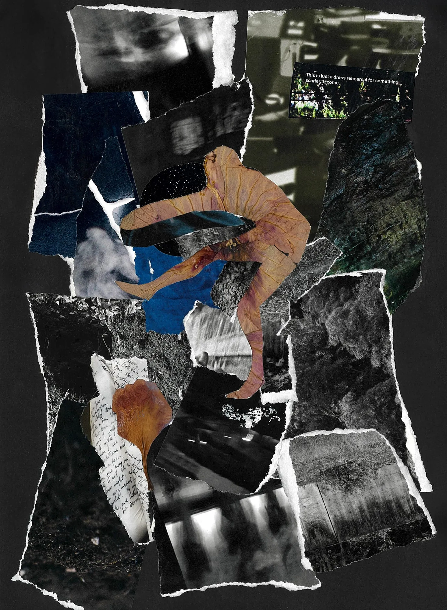 In detritus, no truth #1. Paper, magazine clippings, dried flowers