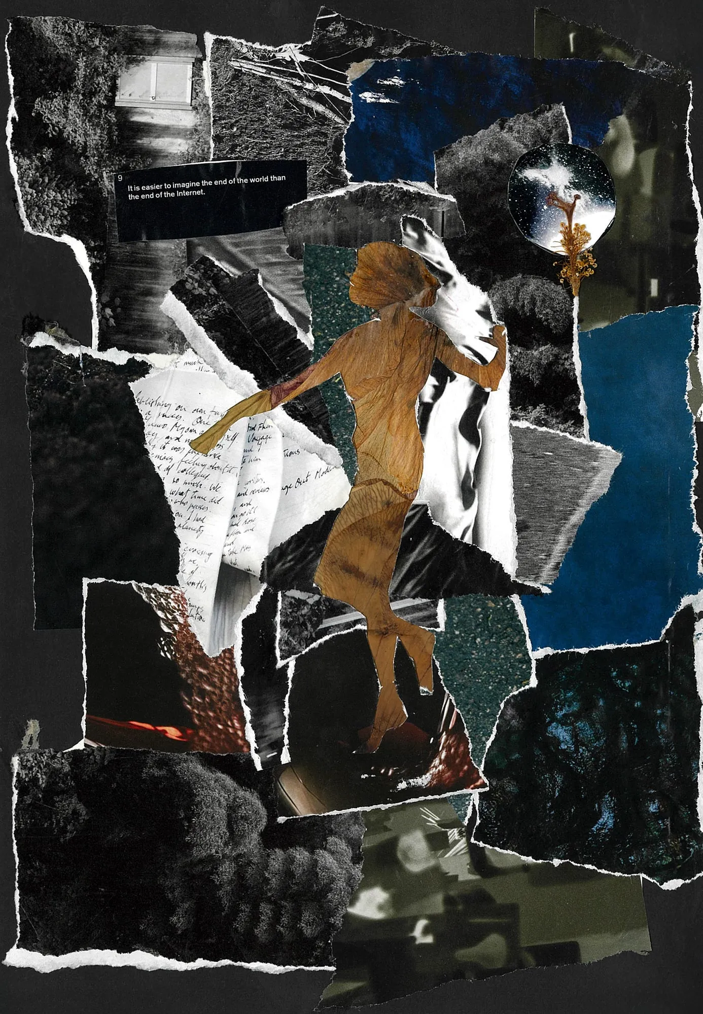 In detritus, no truth #2. Paper, magazine clippings, dried flowers