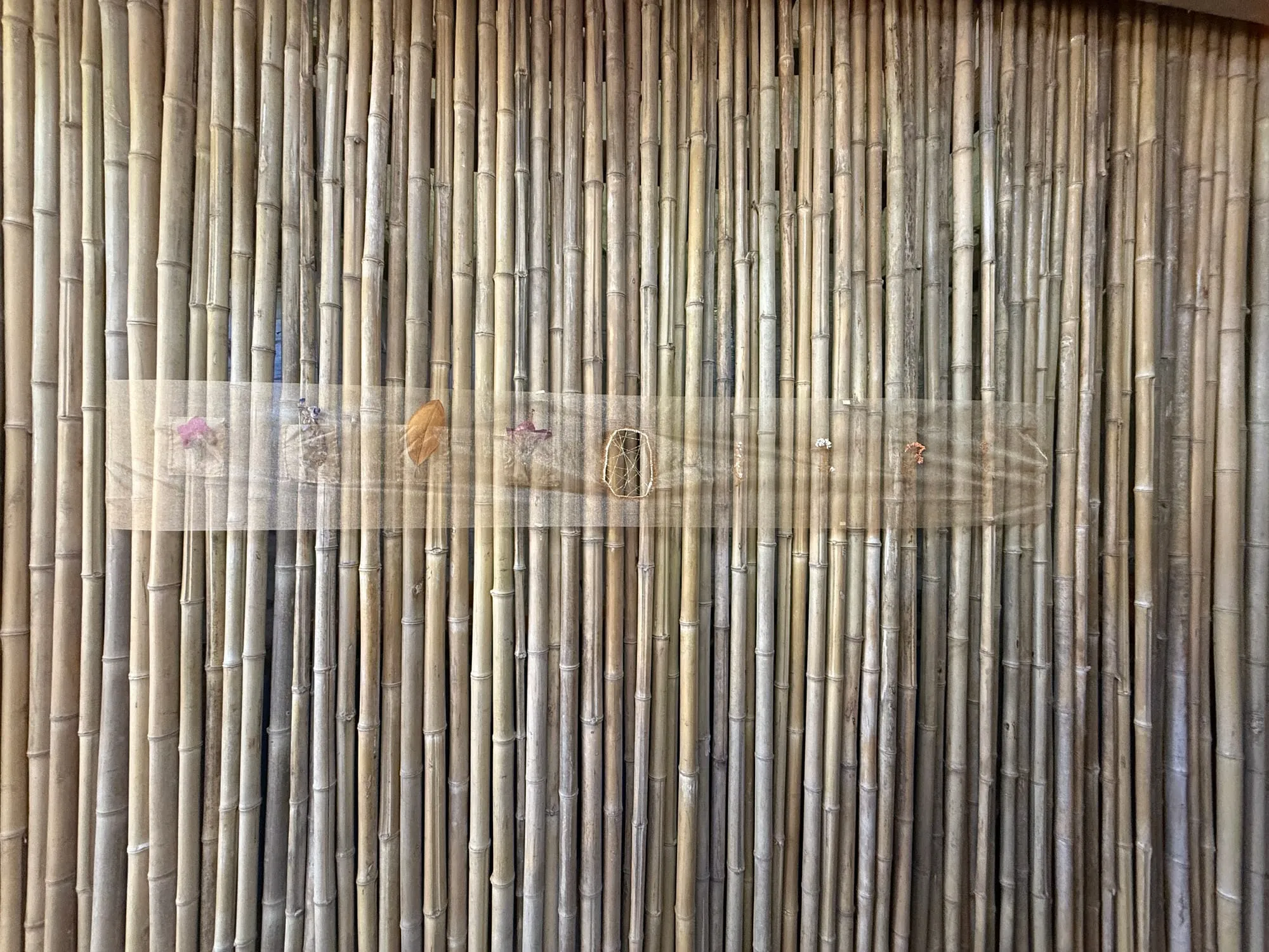 In between. Textile installation: organza, threads, dried flowers