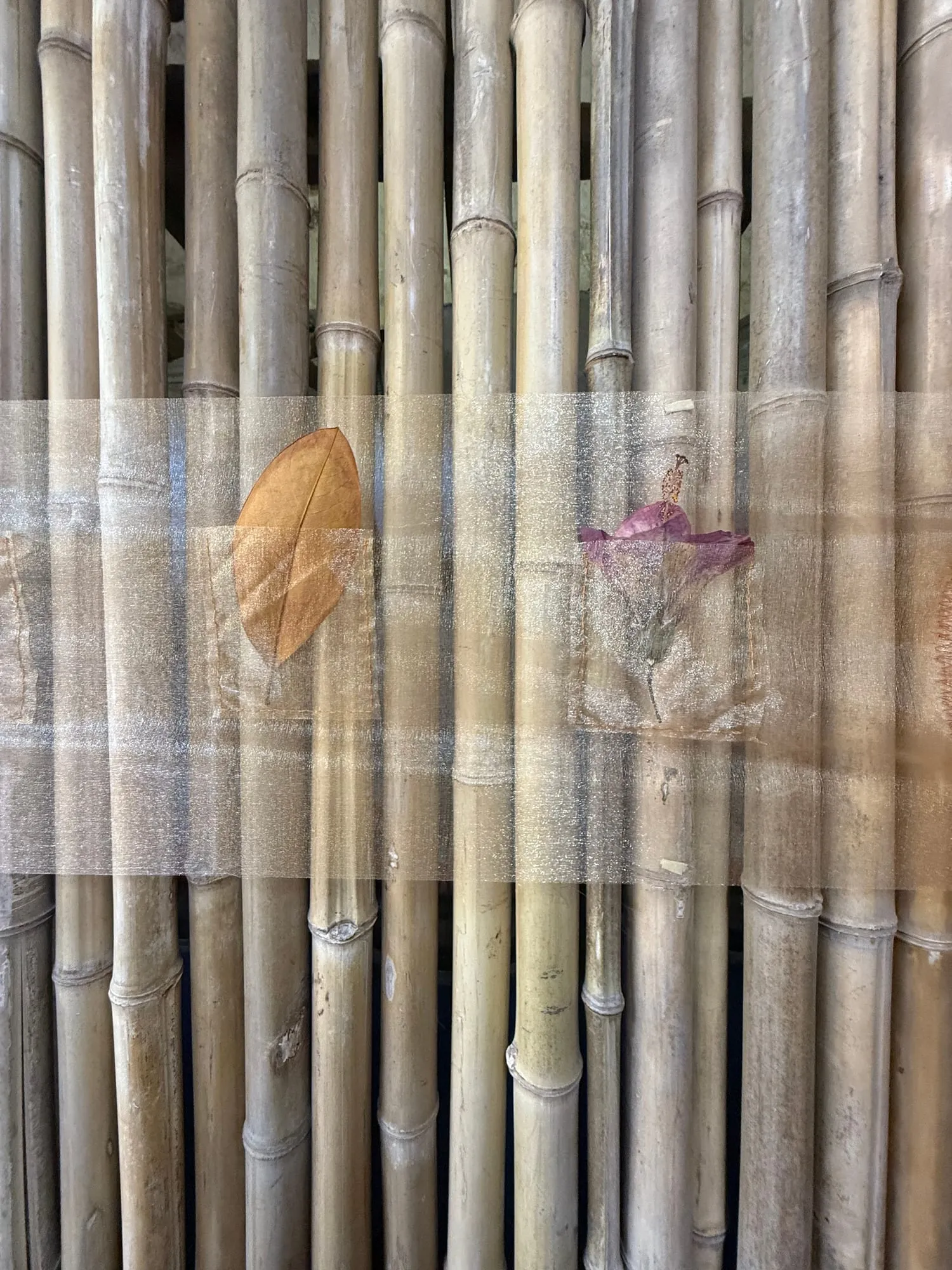 In between, view 3