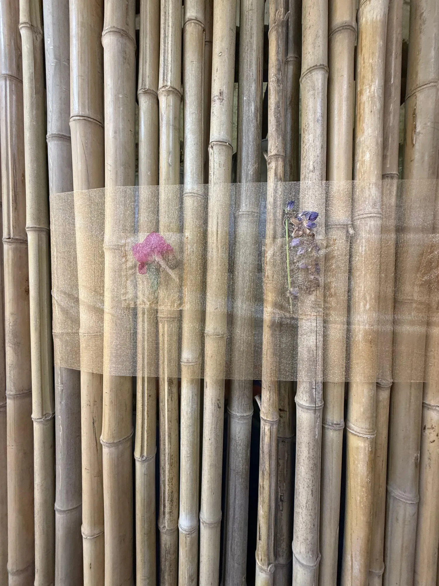 In between, view 4