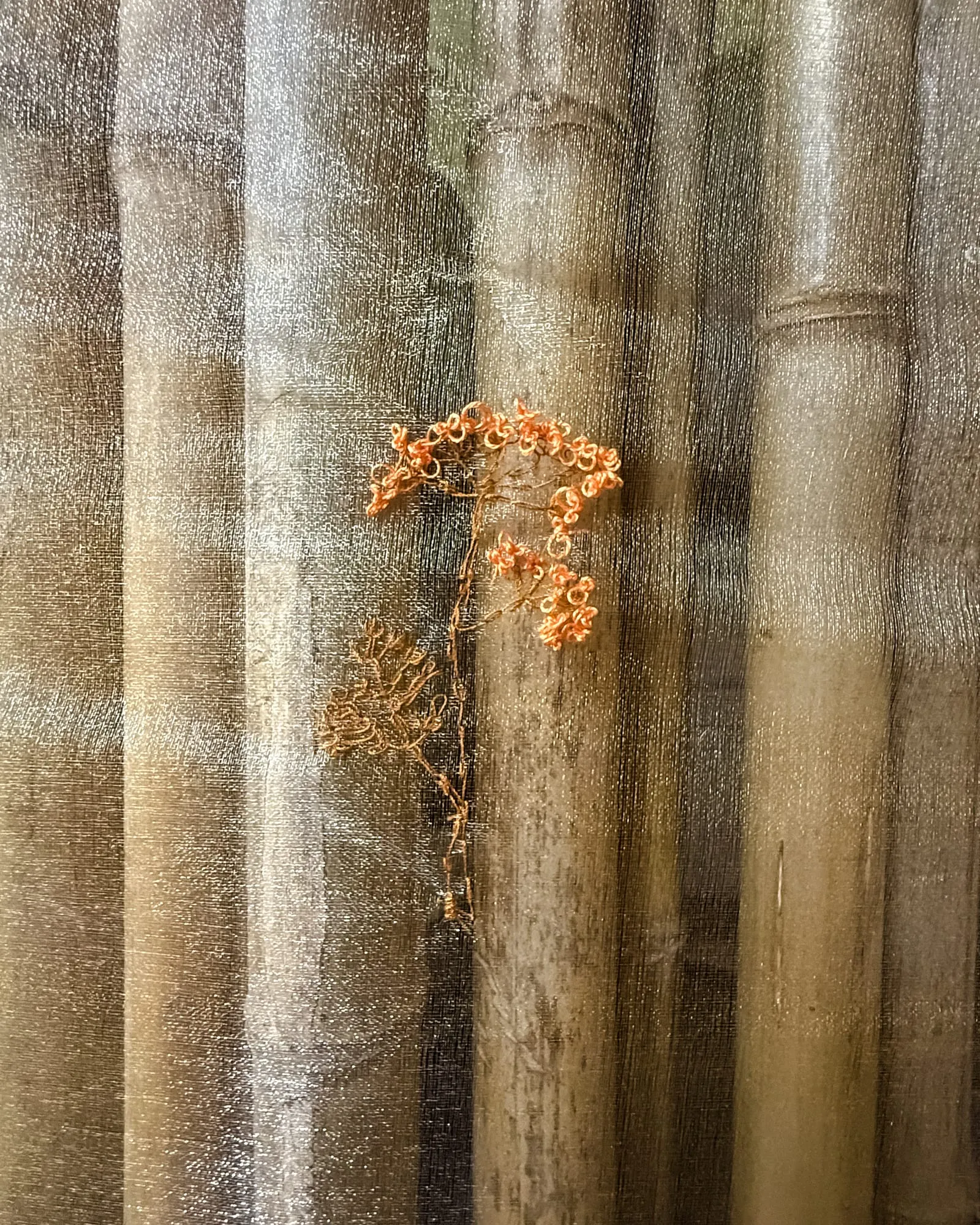 In between, view 5